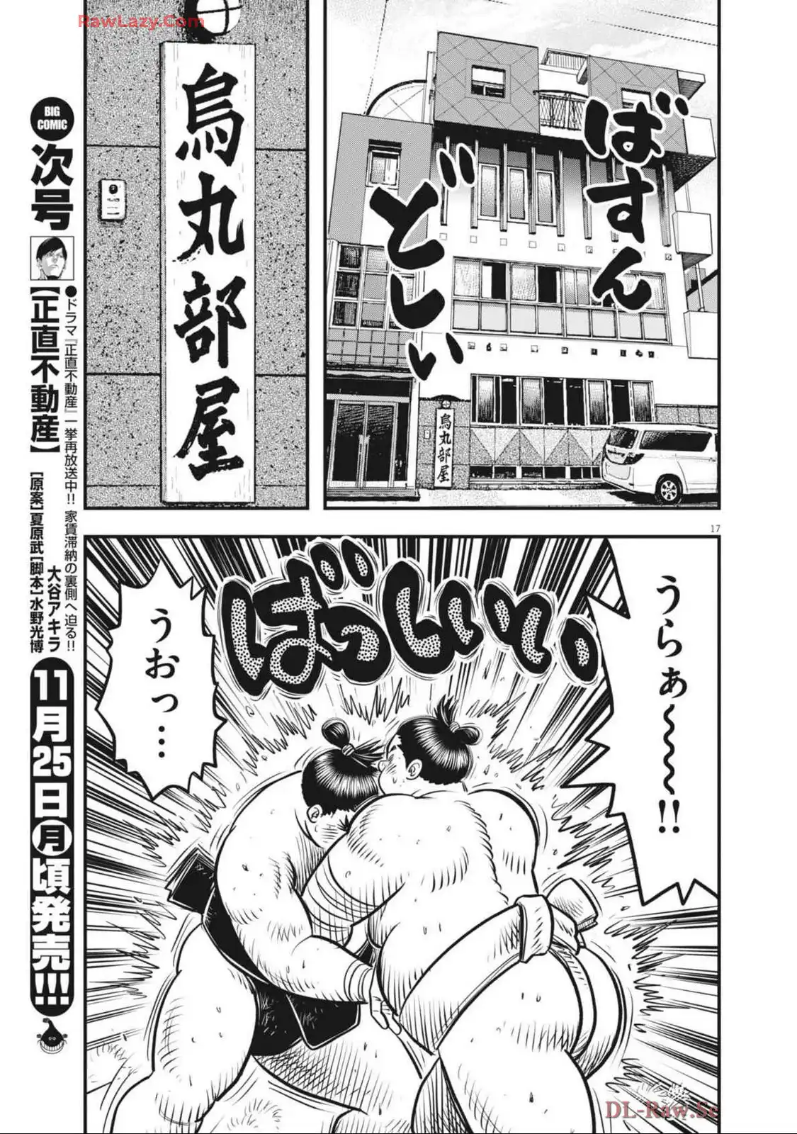 ページ 17