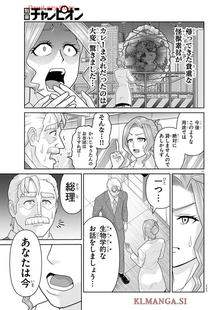ページ 11