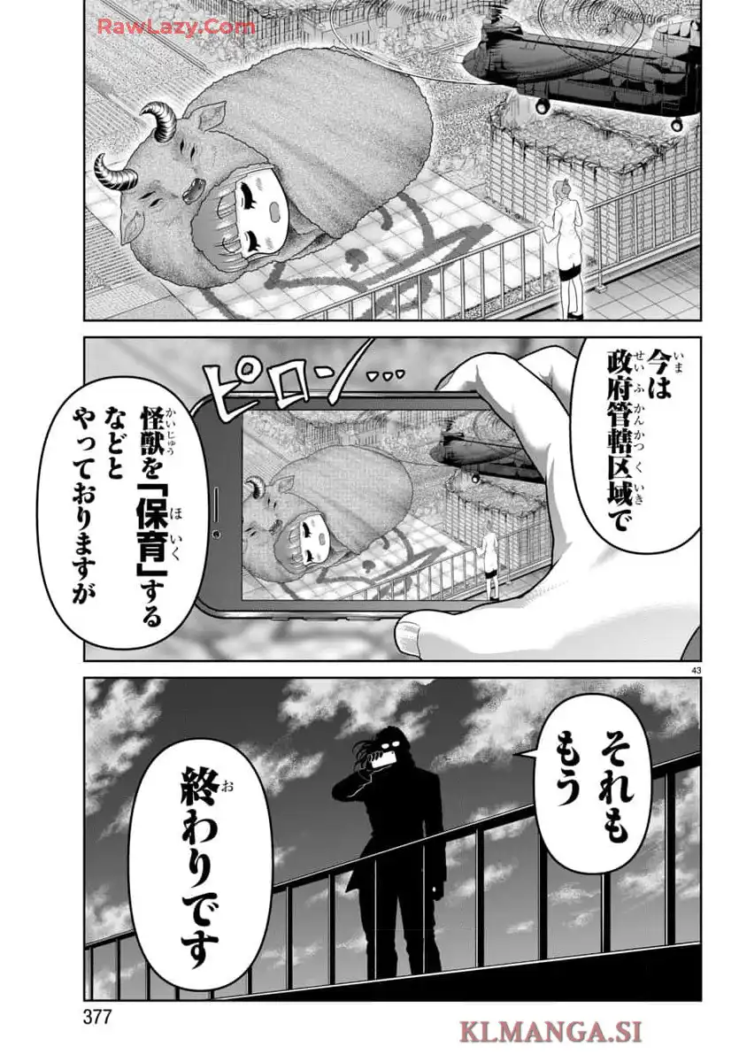 ページ 43