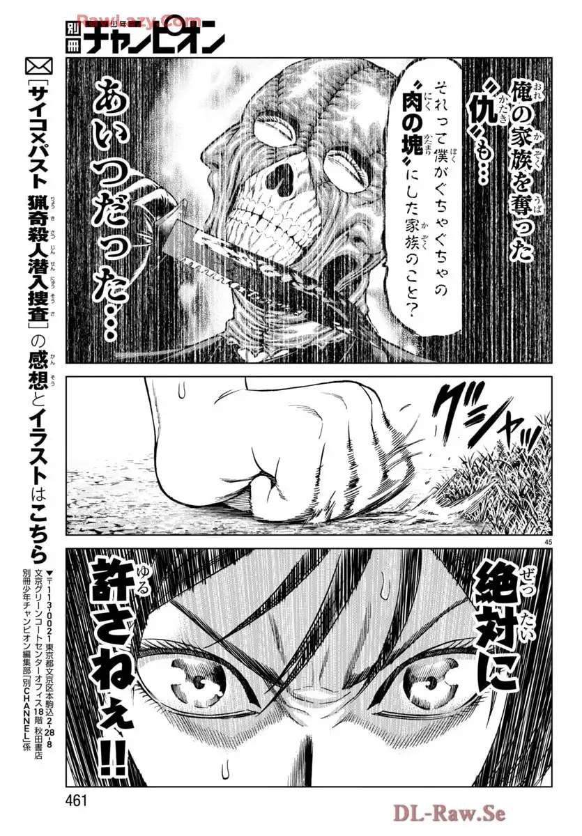 ページ 45