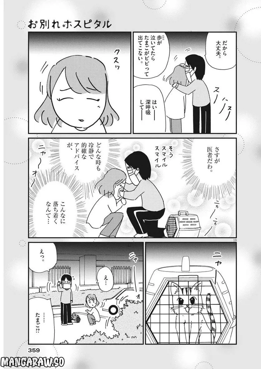 ページ 19